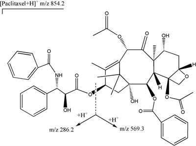 Population Pharmacokinetics and Exposure–Safety Relationship of Paclitaxel Liposome in Patients With Non-small Cell Lung Cancer